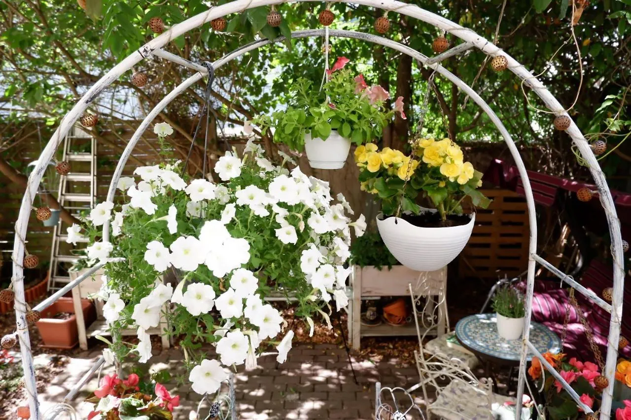 Ferienwohnung Elbe Garden Paradise Dresden 0*,  Deutschland
